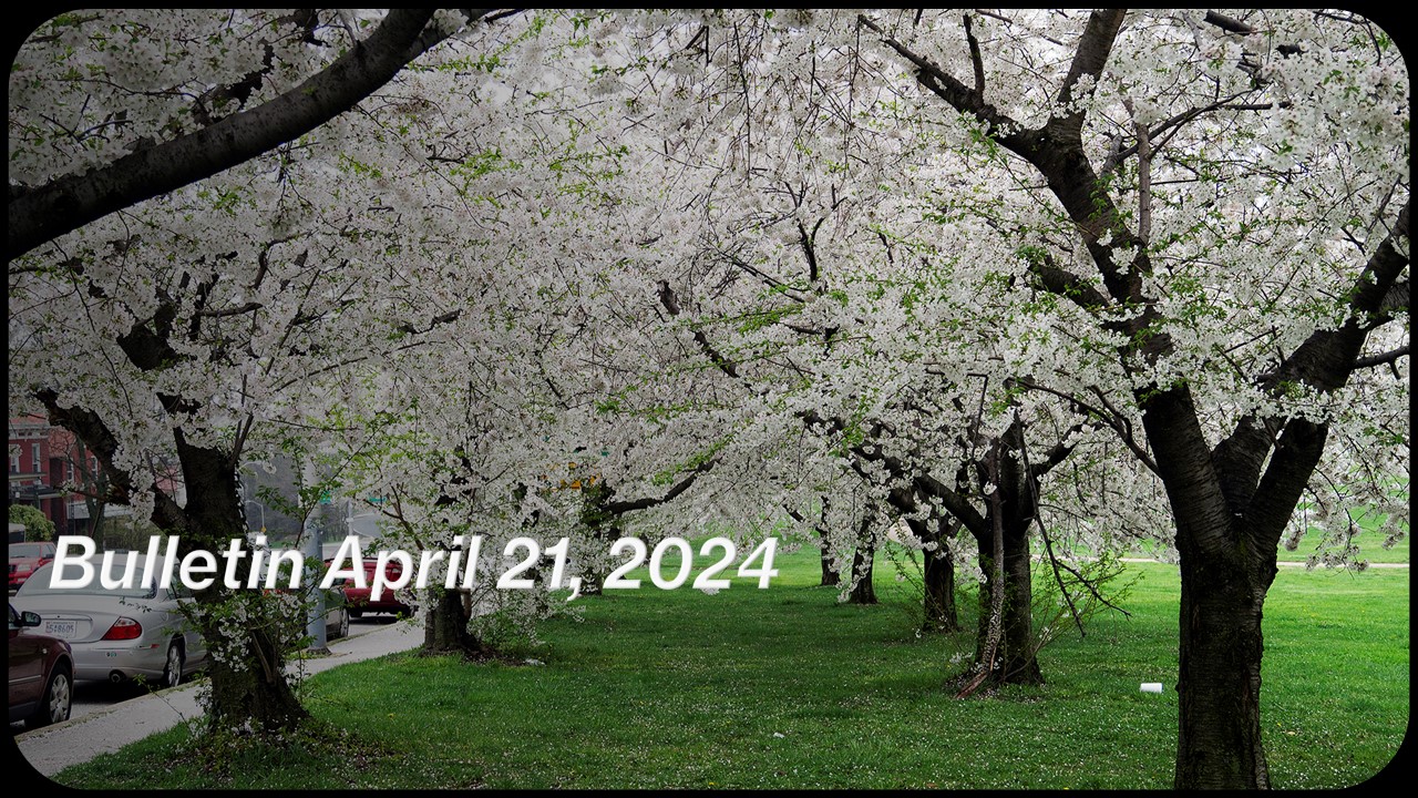 April 21, 2024pg.3