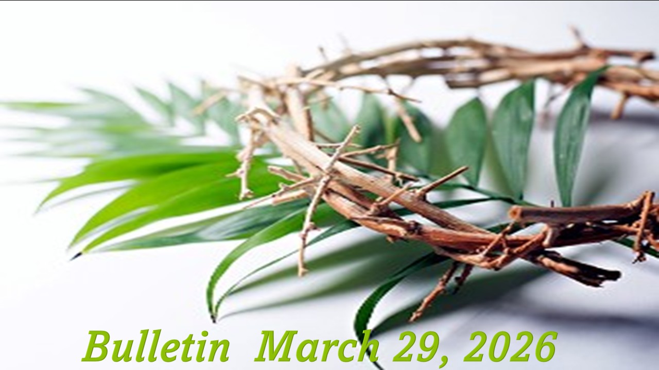 03292026websitePAGETHREE